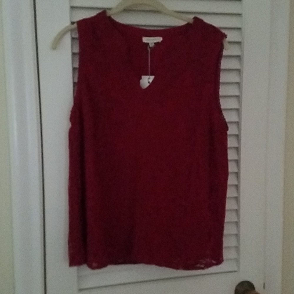 Burgandy Lace split neck blouse.